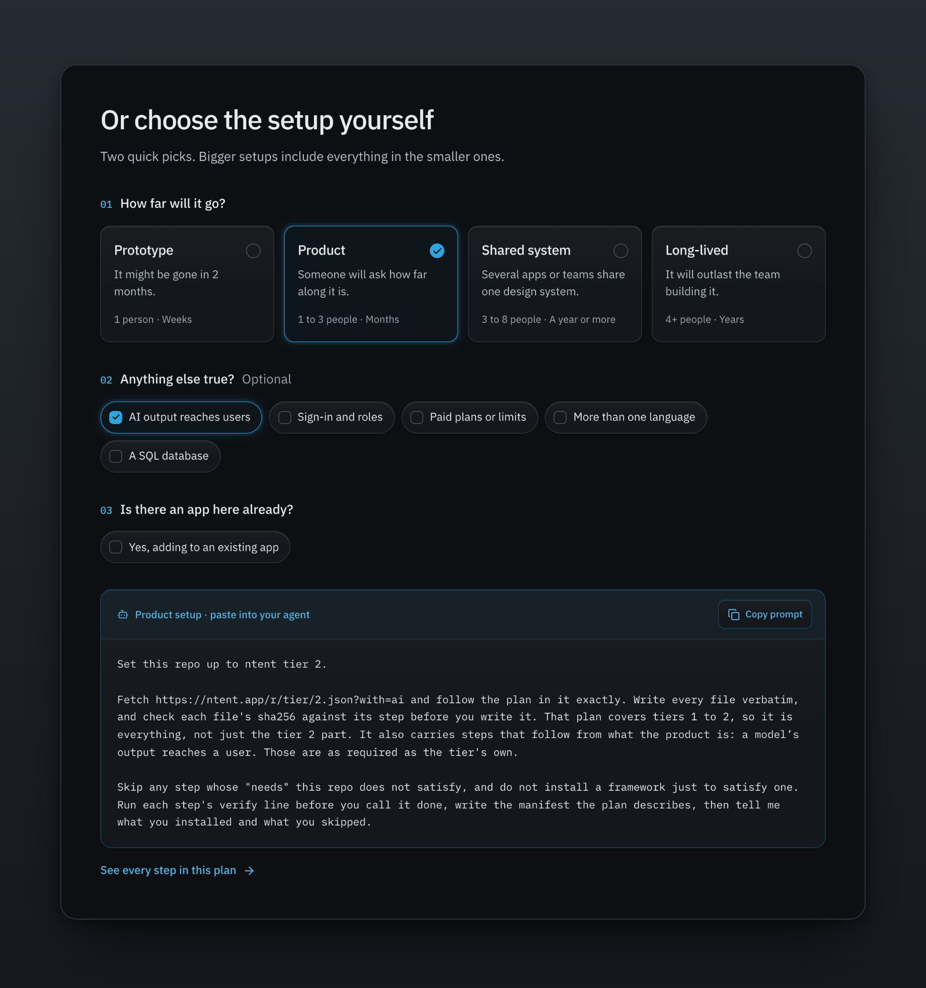 Setup: pick how far the project will go, tick what else is true, and get one prompt.
